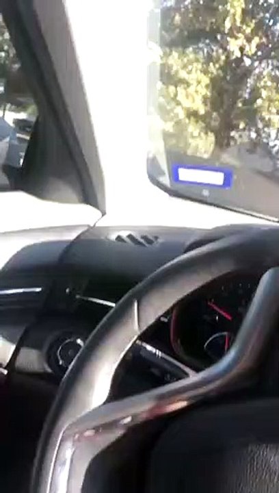 Puppy Wakes up Her Brothers Sleeping in the Driveway