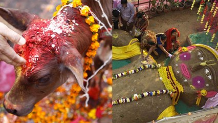 गोवर्धन पूजा में भूल से भी ना करें ये 8 अशुभ काम  | Govardhan Puja Annakoot 2019 | Boldsky