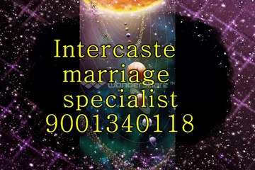 love problem solution baba ji_91 _9001340118_ love marriage specialist baba ji delhi