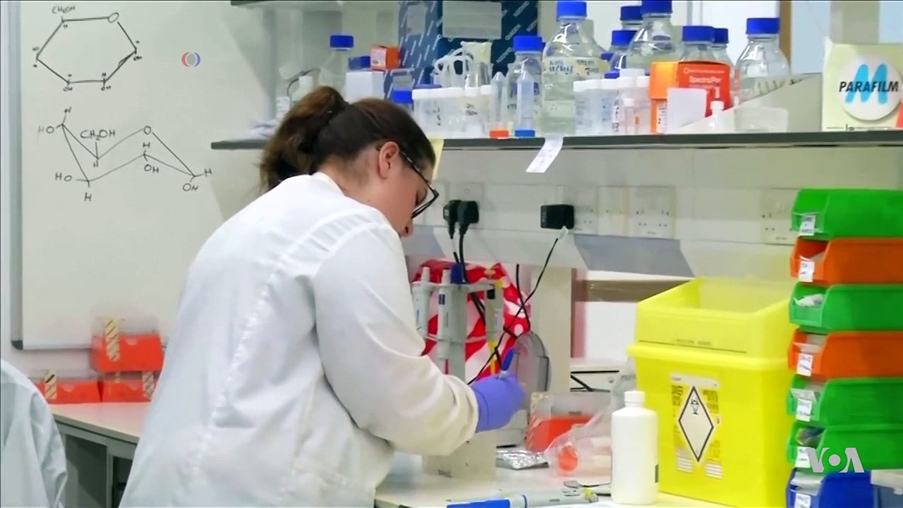 Antibiotic Rejuvenation Could Outsmart Superbugs