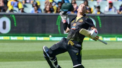 Warner gifts himself a century on his 33rd birthday