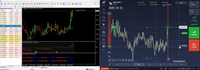 Binary Options Strategies : Signal+ Zigzag