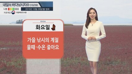 [내일의 바다낚시지수] 10월29일 전반적인 바다낚시 지수 보통... 물때도 대부분 좋아 / YTN