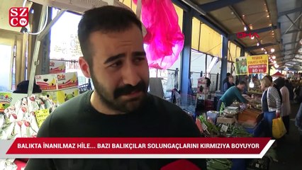 Balıkta inanılmaz hile... Bazı balıkçılar solungaçlarını kırmızıya boyuyor