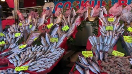 Balıkta inanılmaz hile... bazı balıkçılar solungaçlarını kırmızıya boyuyor