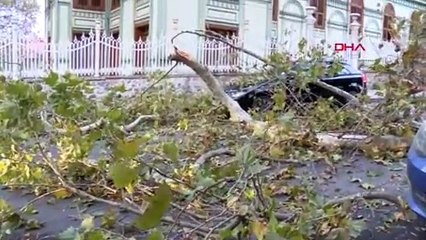 Beşiktaş'ta ağaç devrildi, yol kapandı