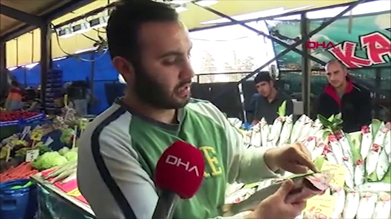 Balık satışında hile; bazı balıkçılar balıkların solungaçlarını kırmızıya boyuyor