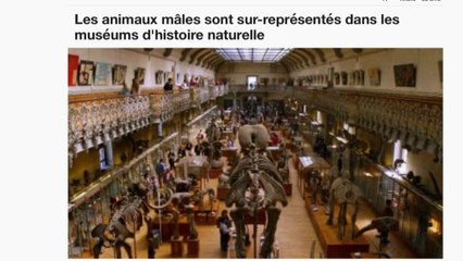 Du sexisme dans les muséums d'Histoire naturelle ?