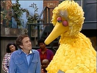 Big Bird learns about Death in Sesame Street