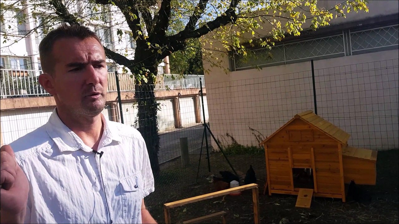 Valence: «Le but de ce poulailler, c’est de limiter le poids de nos déchets»