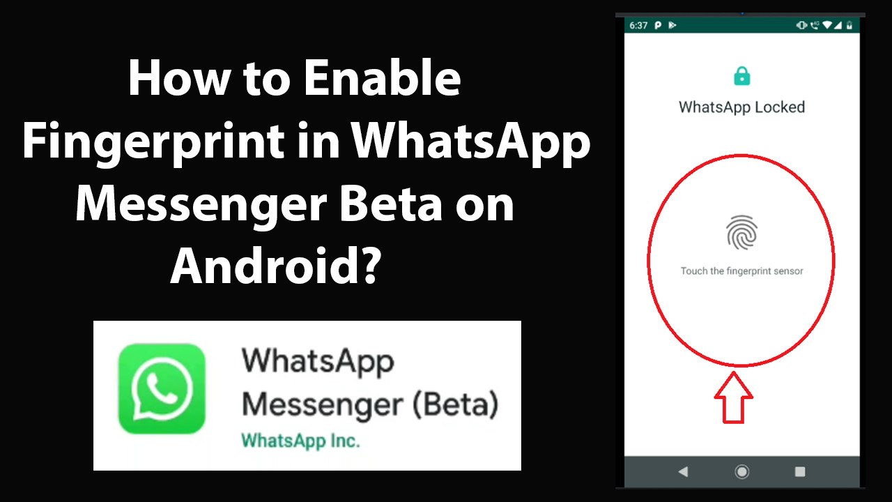 How to Enable Fingerprint in WhatsApp Messenger Beta on Android?