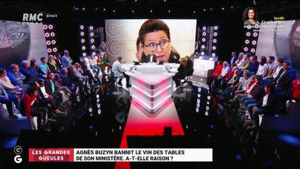 Agnès Buzyn bannit le vin des tables de son ministère, a-t-elle raison ? - 28/10