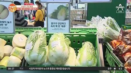 작년보다 2배 가까이 오른 배춧값! 심지어 무 값도 60%나 올랐다?! (ㅠㅠ)