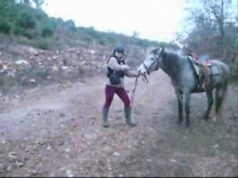 3 février 2008 Concentré de 4 heures