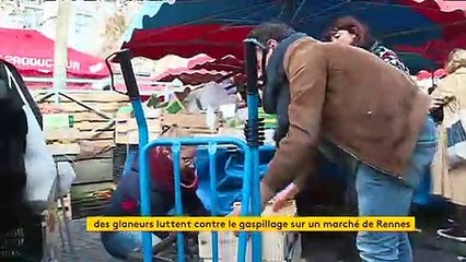 Halte au gâchis, les Glaneurs rennais offrent une seconde vie aux fruits et légumes amochés