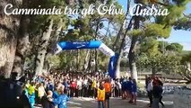 “Camminata tra gli olivi” ad Andria 27 ottobre 2019 - video 1