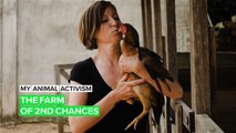 My Animal Activism: Vietnam's first and only farm sanctuary
