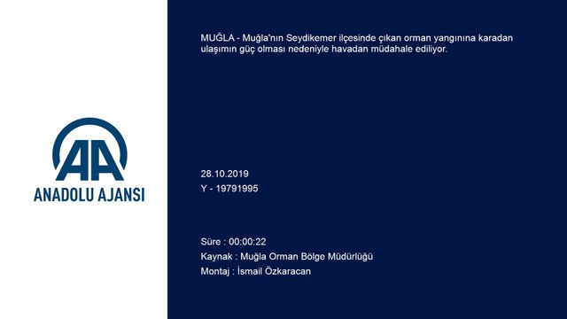 Seydikemer'de orman yangını - MUĞLA