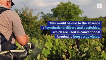 Organic Farming Is Worse for Climate Change, Study Says
