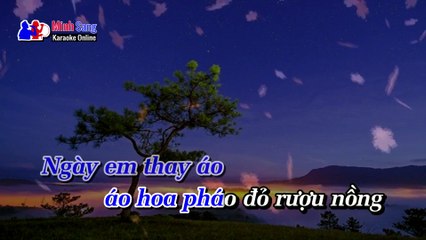 Karaoke - Đắp Mộ Cuộc Tình - Hồ Việt Trung