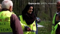 Série de documentaire - 