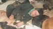 Dejan Gacic, l'homme qui n'hésite pas à dormir avec 600 chiens abandonnés pour les protéger des températures glaciales