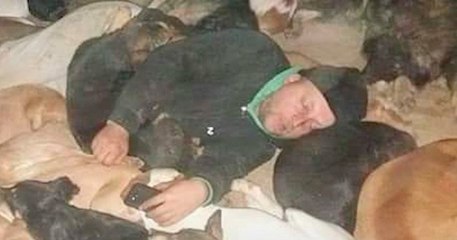 Dejan Gacic, l'homme qui n'hésite pas à dormir avec 600 chiens abandonnés pour les protéger des températures glaciales