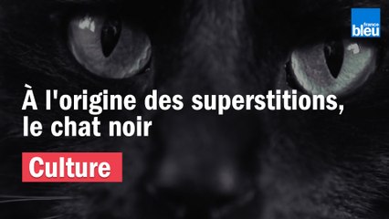 À l'origine des superstitions : Le chat noir