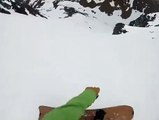 Did you know a doggo can go faster than a professional skier