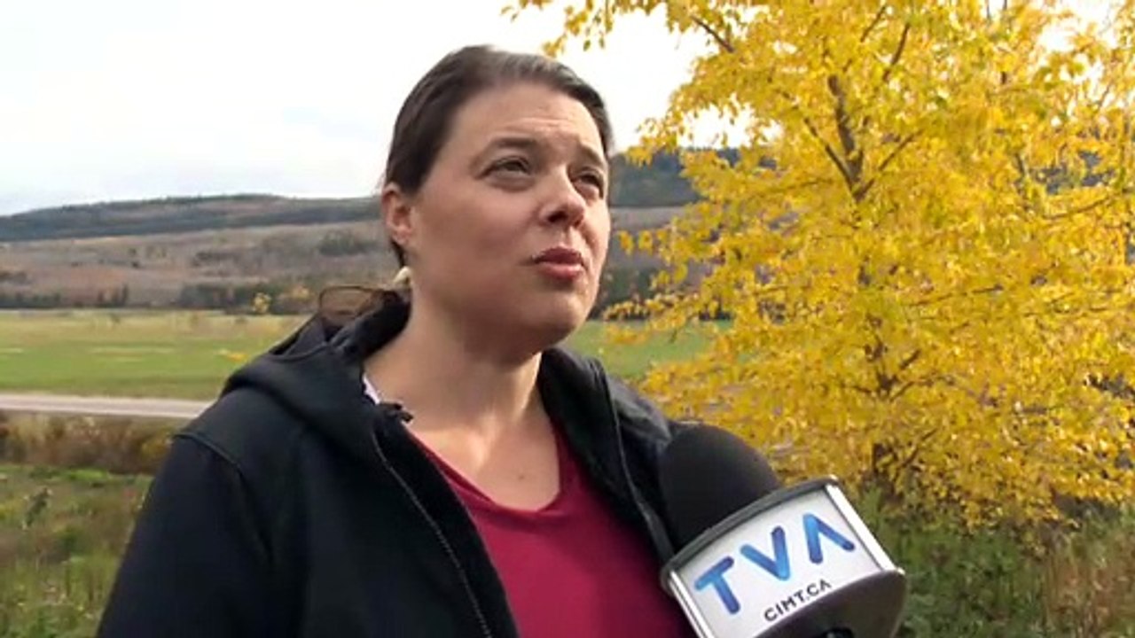 topo chats errants  St-Denis