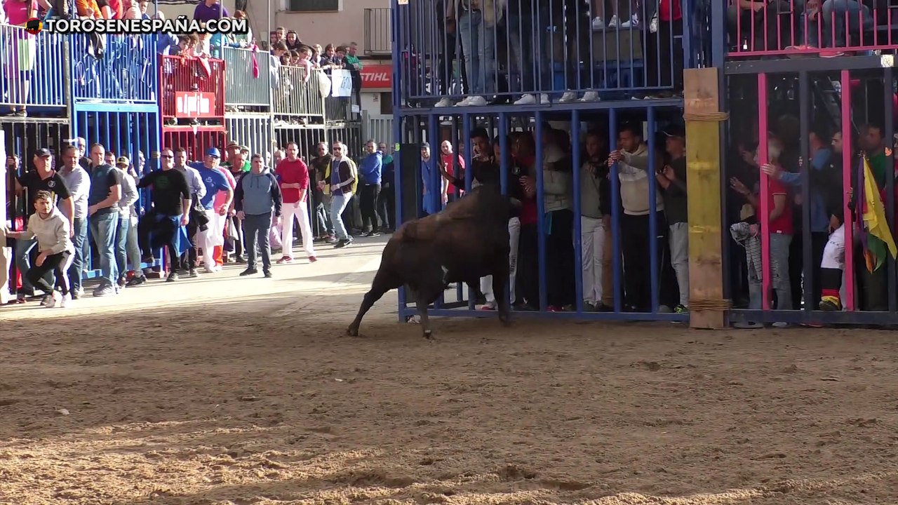 Fiestas de ONDA 2019 - Primera parte / S. Domecq, Veiga Teixeira, Jandilla y Couto de Fornilhos