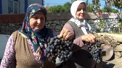 Manisa’da pekmez kazanları kaynıyor