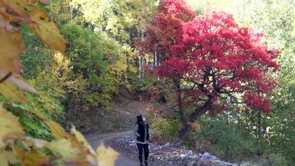 Tunceli’de sonbaharla gelen 'Renk Cümbüşü'