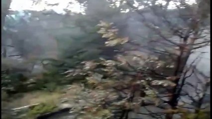 Νέα φωτιά στα Άγραφα Ευρυτανίας