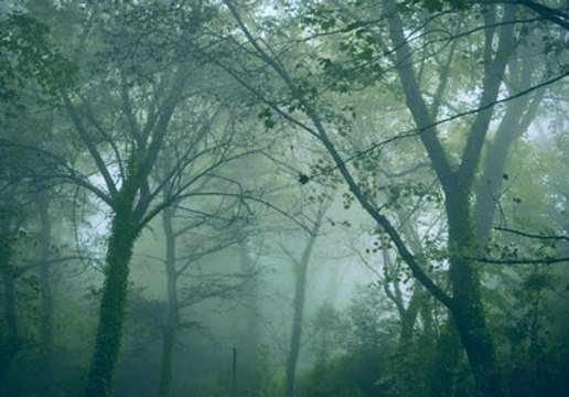 America's Top 10 Most Haunted Cities