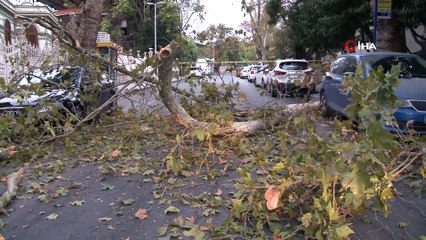 Beşiktaş’ta ağaçtan kopan dallar caddeyi trafiğe kapattı