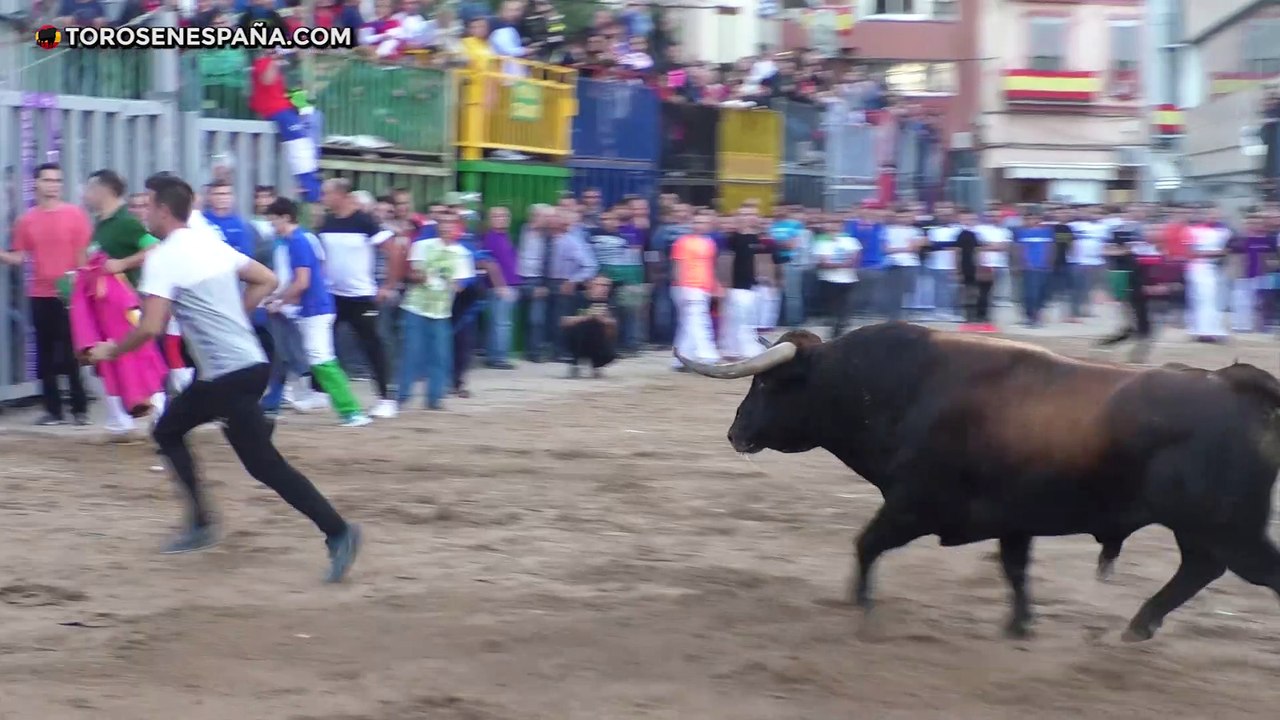 Fiestas de ONDA 2019 - Segunda parte / Couto de Fornilhos, Oliveiras Irmâos y Palha