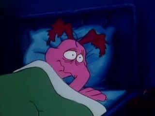 The Raccoons - Stress Test