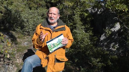 La mutation carnettiste 1ère partie : le voyage intemporel