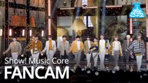 [예능연구소 직캠] Seventeen - Home, 세븐틴 - Home @Show Music core 20190202