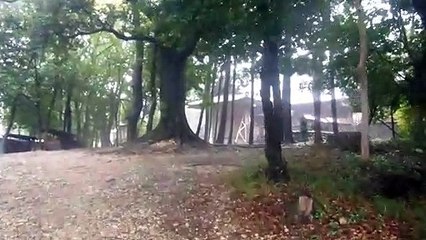 Rainy Day at a Japanese Shrine