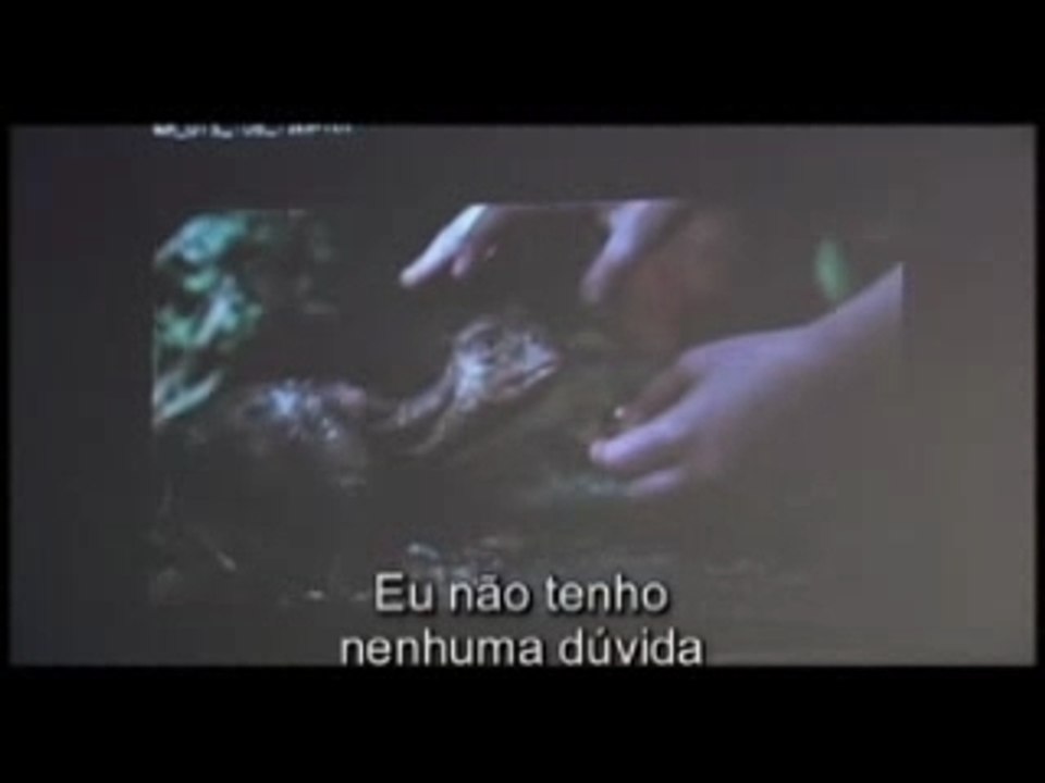 Meu Monstro de Estimação ( Water Horse)
