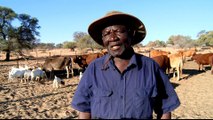 South Africa's worst drought in years affects farmers