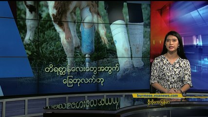 မဇ္ဈိမအတွက် ဗွီအိုအေ သတင်းလွှာ (၁၀-၂၉-၂၀၁၉)