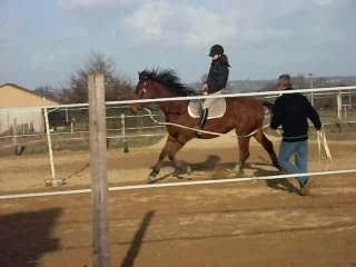 Quercy au débourage suite