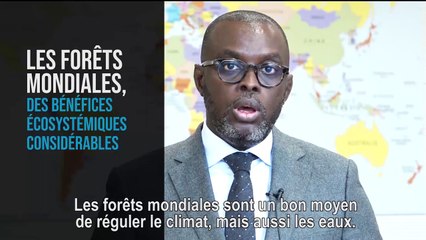 Écologie, développement et mobilité durables - Avis budgétaire  - Mercredi 23 octobre 2019