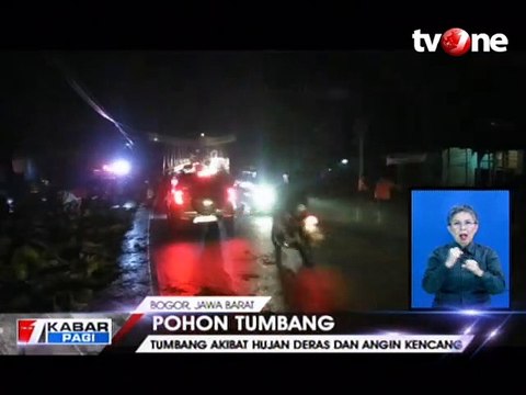 Pengendara Motor Tewas Tertimpa Pohon Tumbang di Bogor