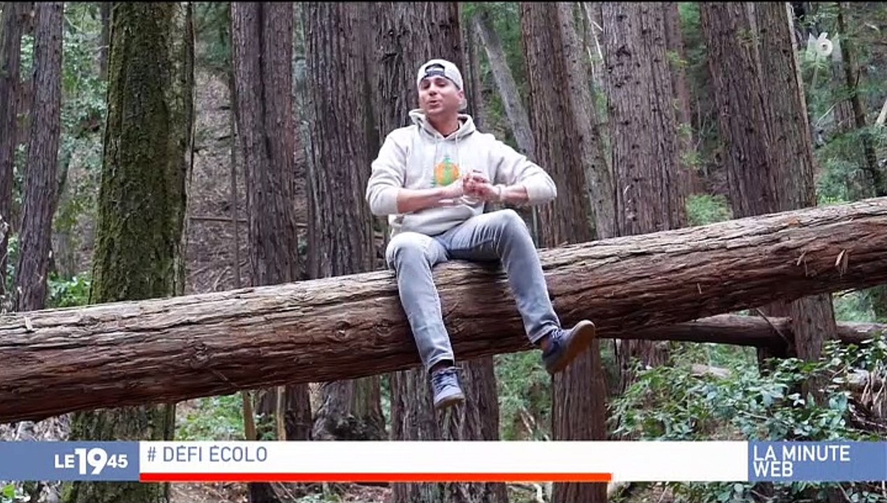 Découvrez la vidéo de Cinderblock, un chat obèse qui doit faire de l’exercice et qui émeut les internautes du monde entier