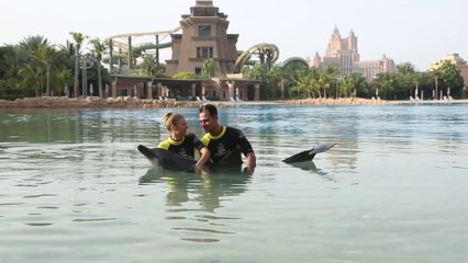 Swimming with the Dolphins at Atlantis the Palm