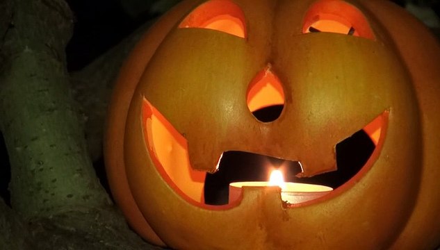 Süßes oder Saures - Happy Halloween